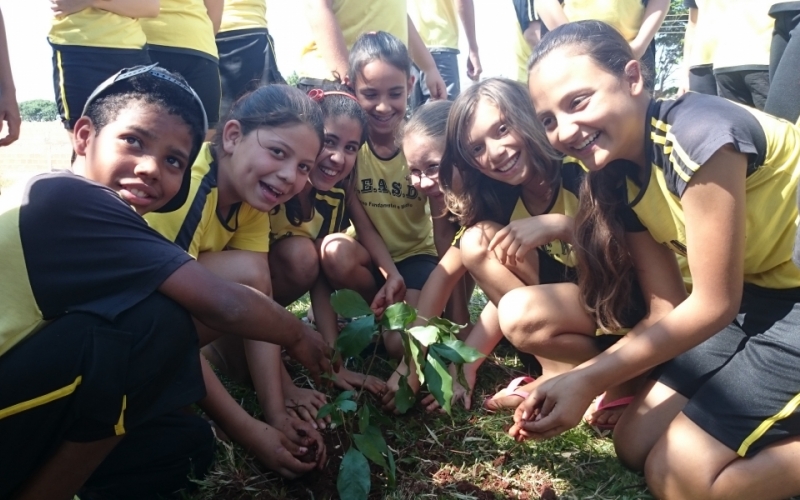 Coletivo Educador Municipal realiza ação no Dia da Árvore